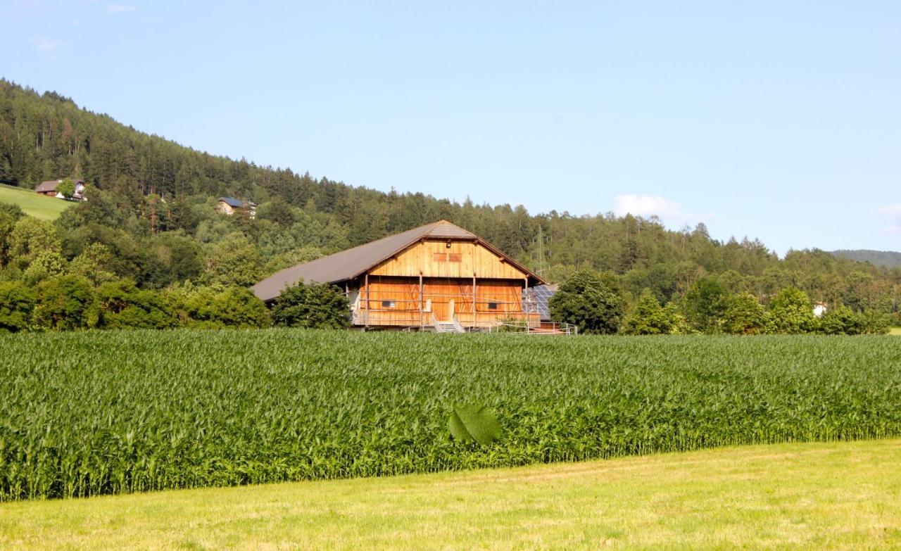 شقة Schoenhuberhof - Panoramalage بَرونيكو المظهر الخارجي الصورة