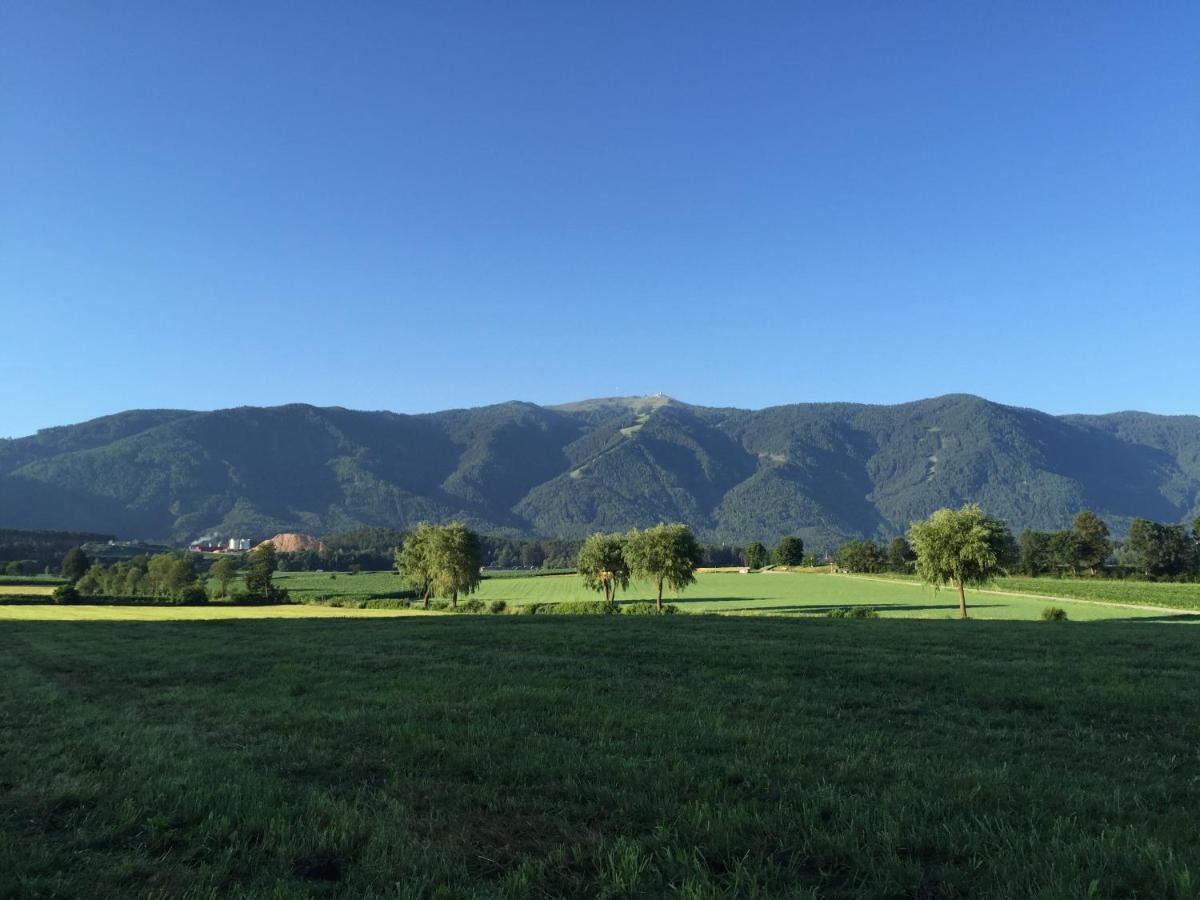 شقة Schoenhuberhof - Panoramalage بَرونيكو المظهر الخارجي الصورة